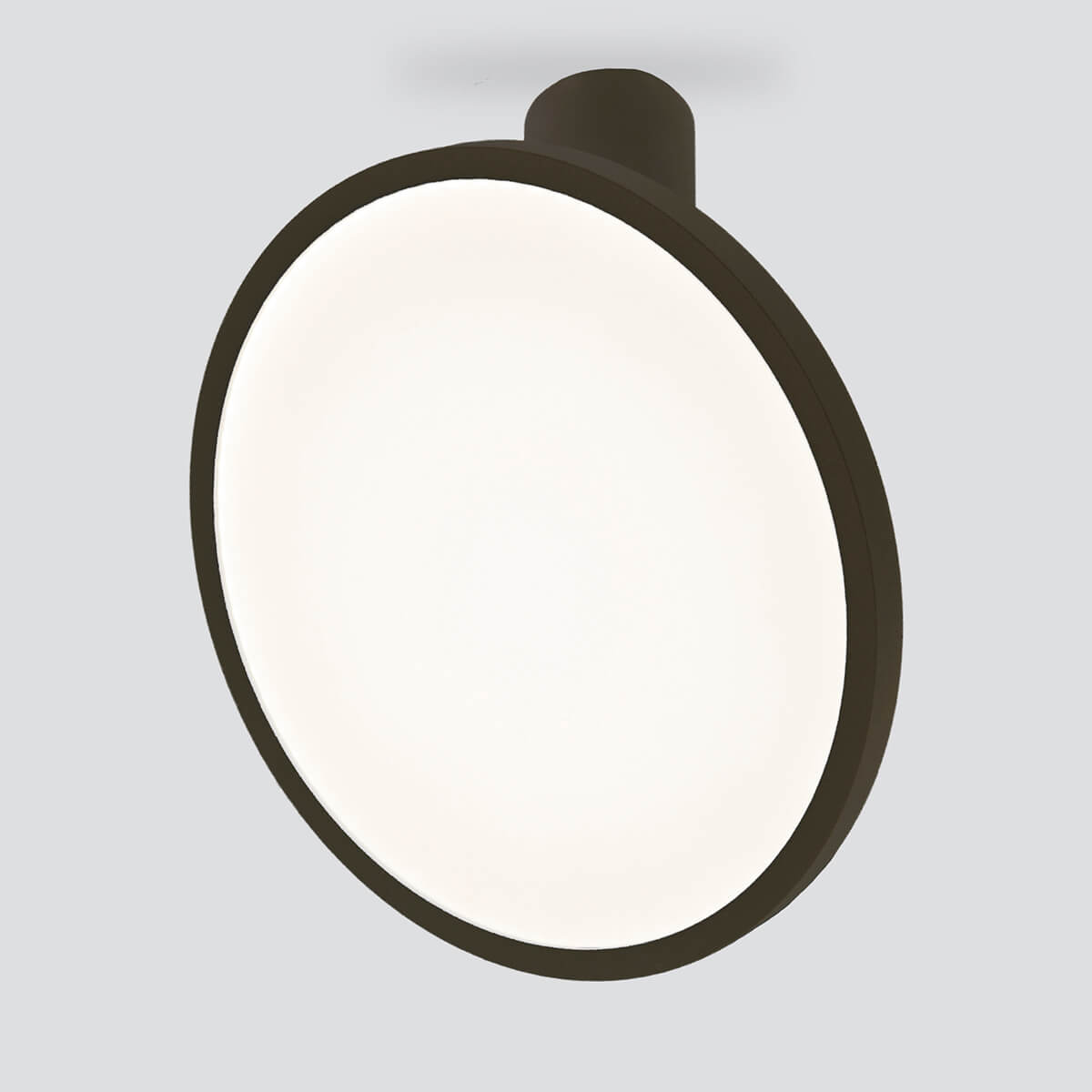 Накладной светильник Elektrostandard DLS029 12W 4200K черный матовый