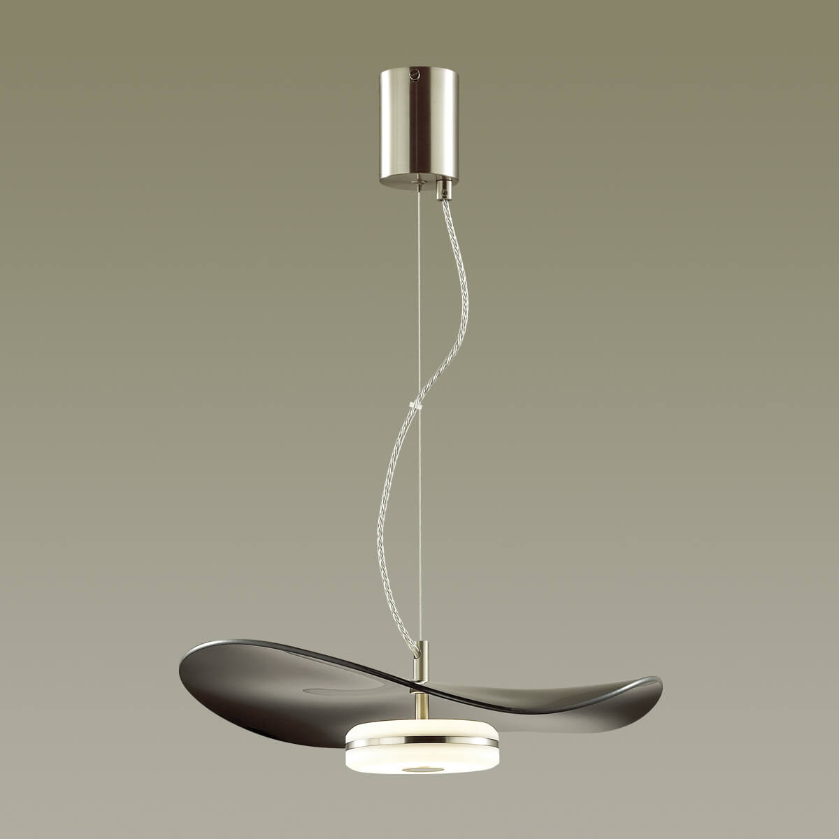 Подвесной светильник Odeon Light FLUENT 4859/13L