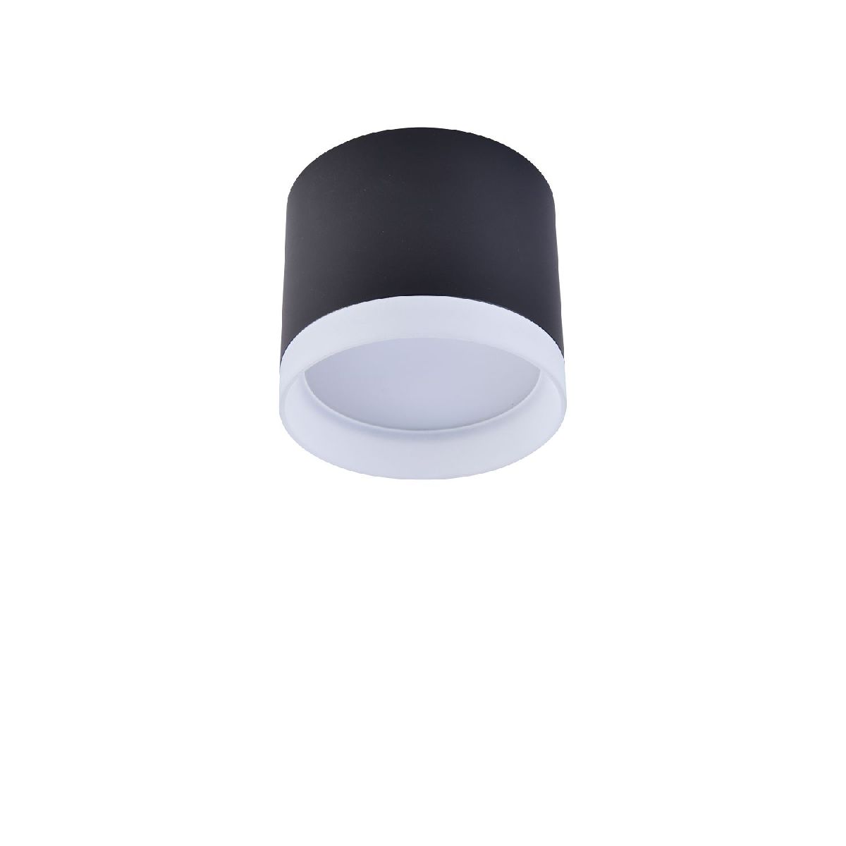 Накладной светильник Favourite Soiree 4214-1C