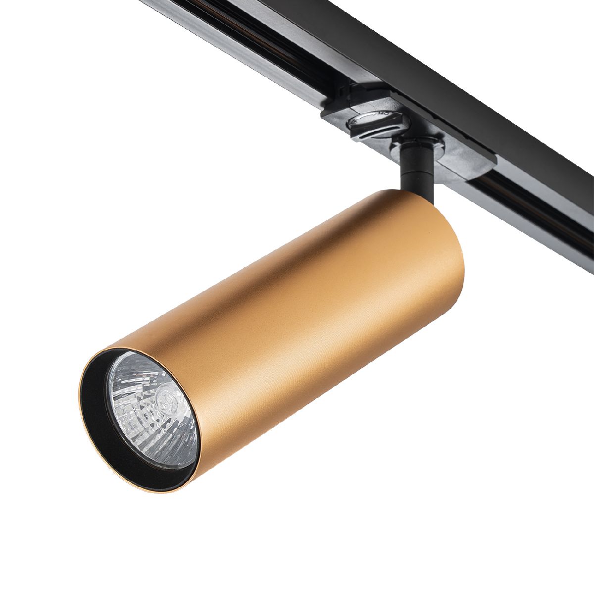 Трековый однофазный светильник Escada 20001TRA/02 BR