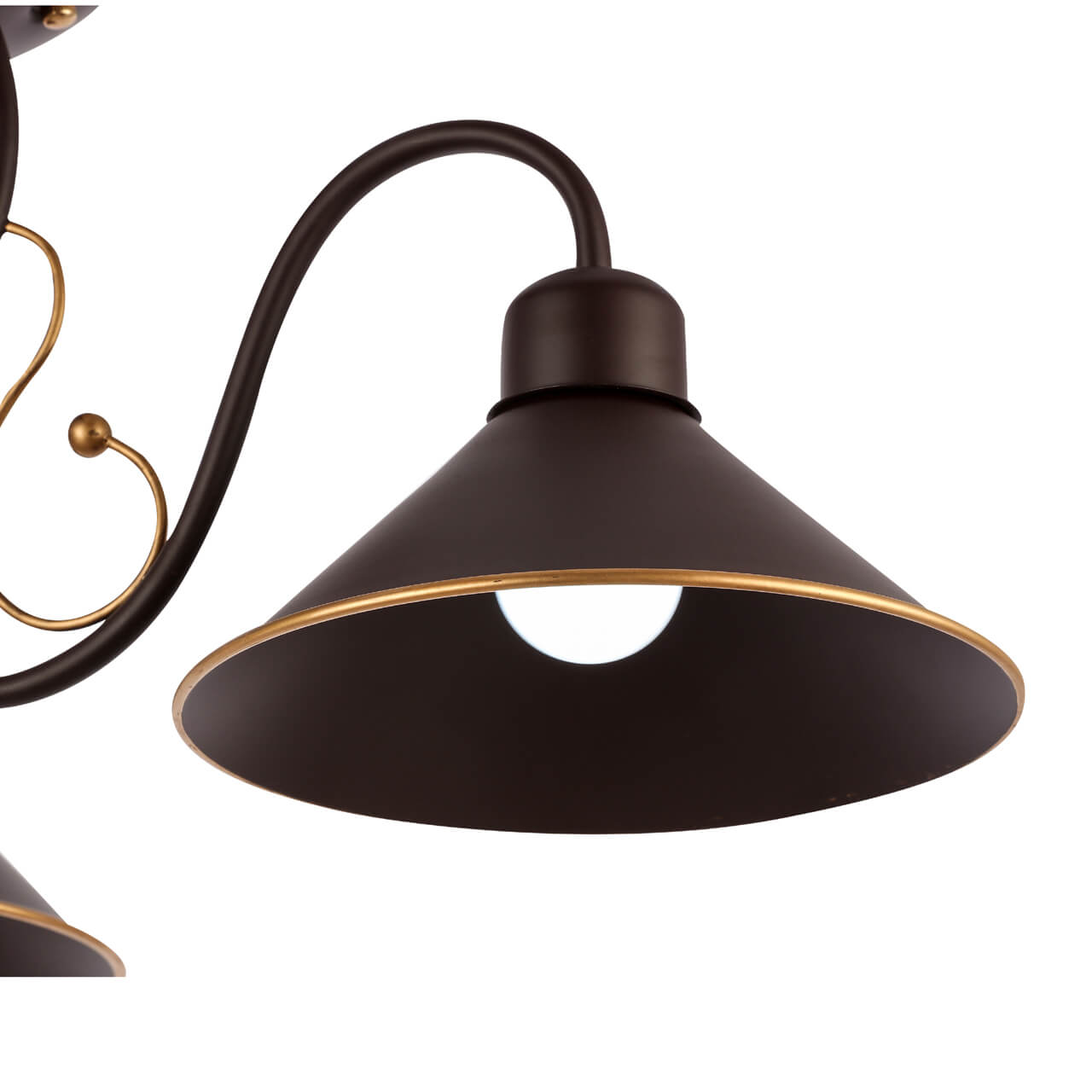 Потолочный светильник EVOLUCE CIOLLA SLE120402-03