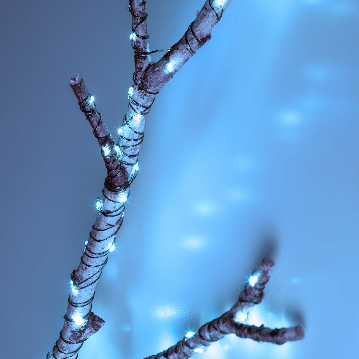 Светодиодная гирлянда Эра ENIN-1000W Б0060430