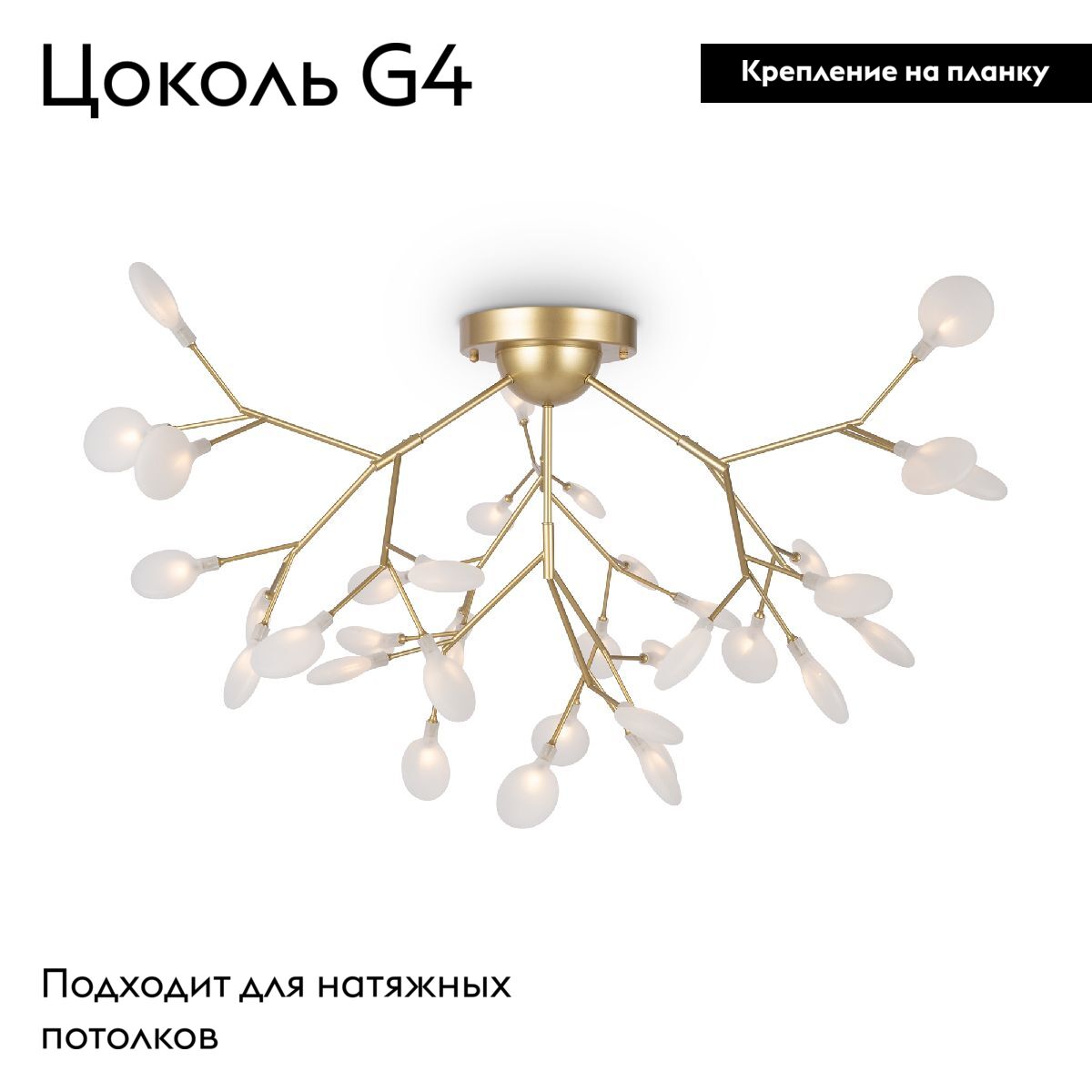 Потолочная люстра Freya Florencia FR5049CL-36G