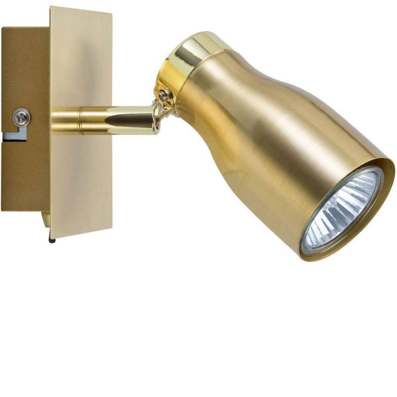 Спот Paulmann Tinka 66599