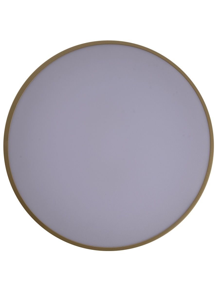 Потолочный светильник Zortes Gabby ZRS.90610.40