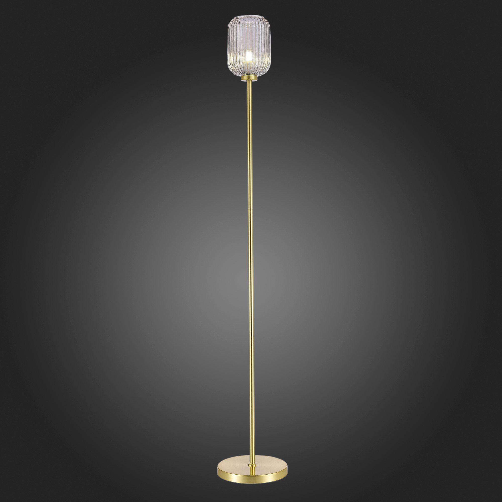 Торшер ST Luce Gran SL1154.325.01