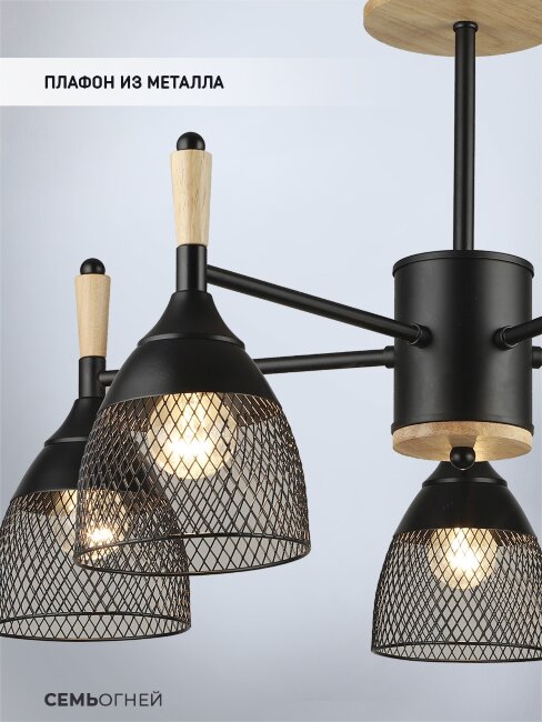 Люстра на штанге Wedo Light Adion WD3500/5C-BK