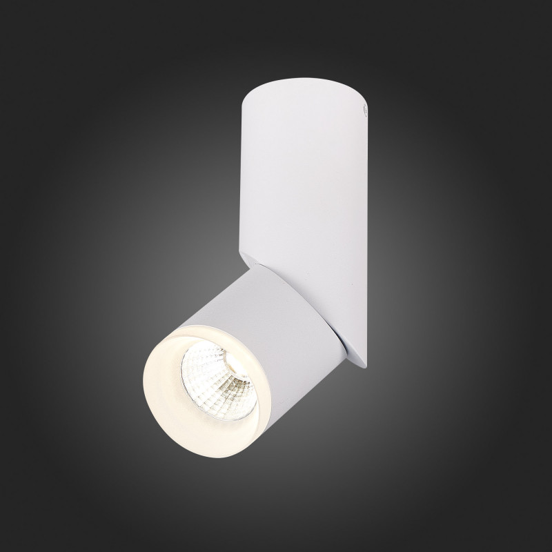 Светодиодный спот ST Luce Tortelle ST107.542.10