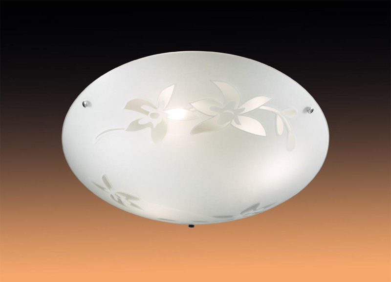 Потолочный светильник Sonex Romana 2214