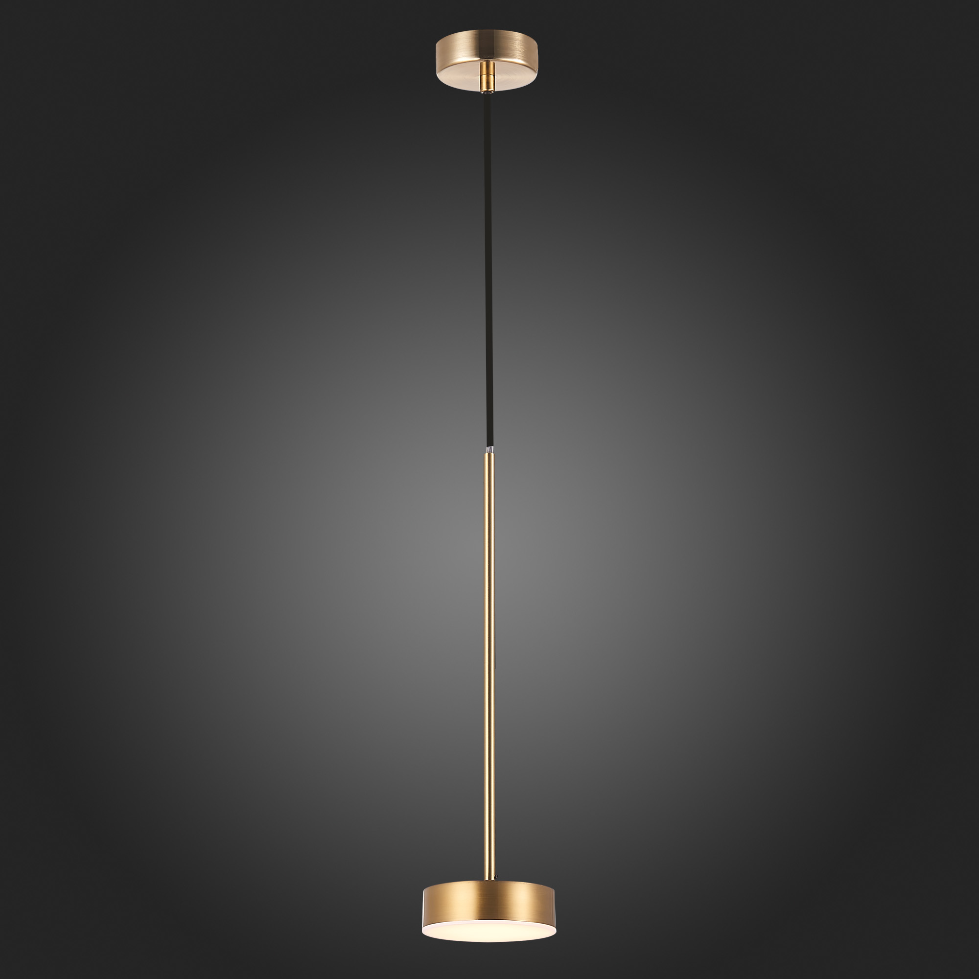 Подвесной светодиодный светильник ST Luce Pances SL6000.303.01