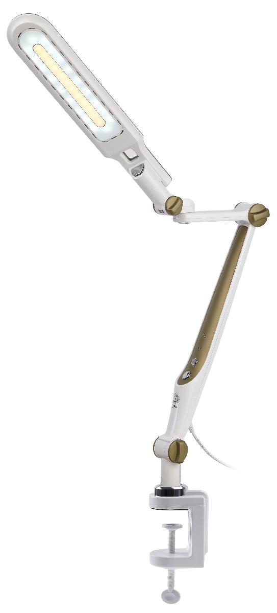 Настольная лампа Эра NLED-496-12W-G Б0052769