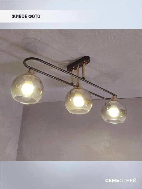 Потолочная люстра Wedo Light Frontino 66667.01.15.03