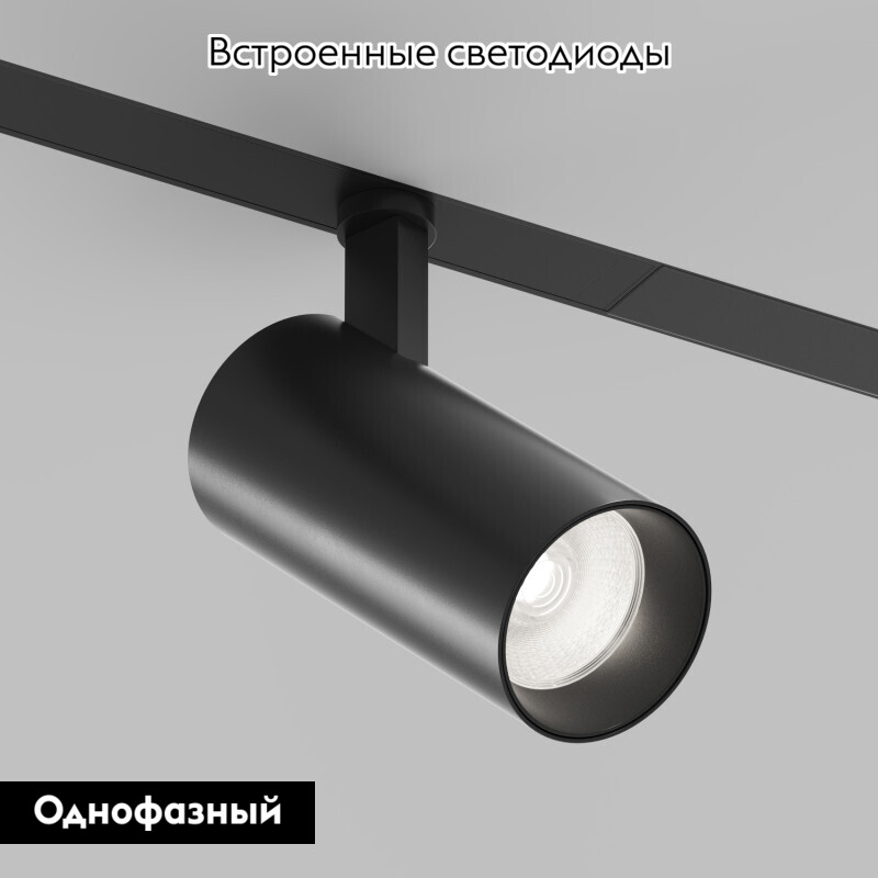 Трековый однофазный светильник Denkirs Simple Spot DK8220-BK