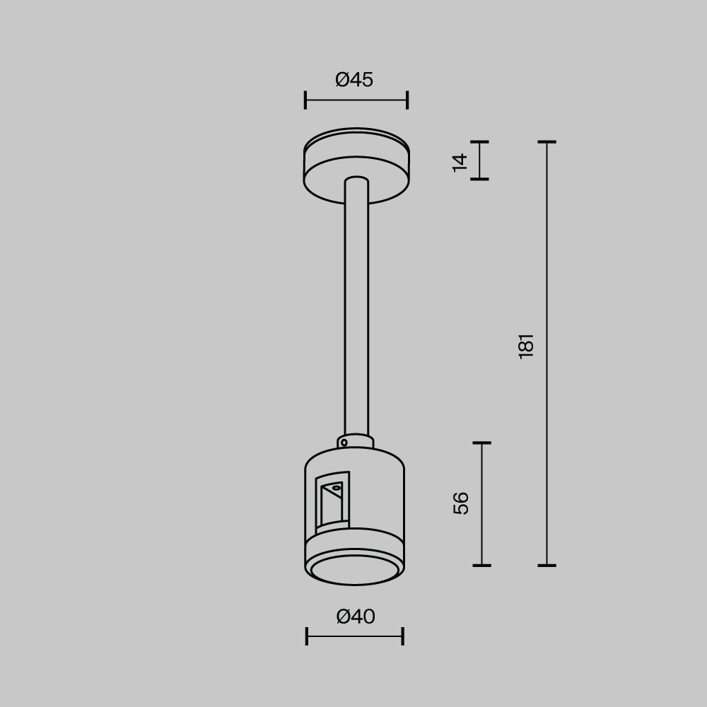 Крепление потолочное с прямым коннектором питания Maytoni Flarity TRA156C-IPCL1-PT