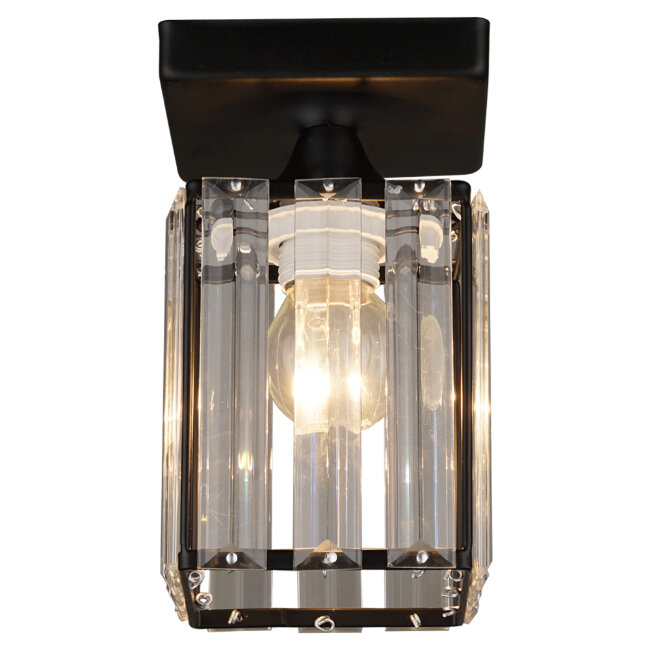 Потолочный светильник Wedo Light Netta WD3519/1C-BK-CL