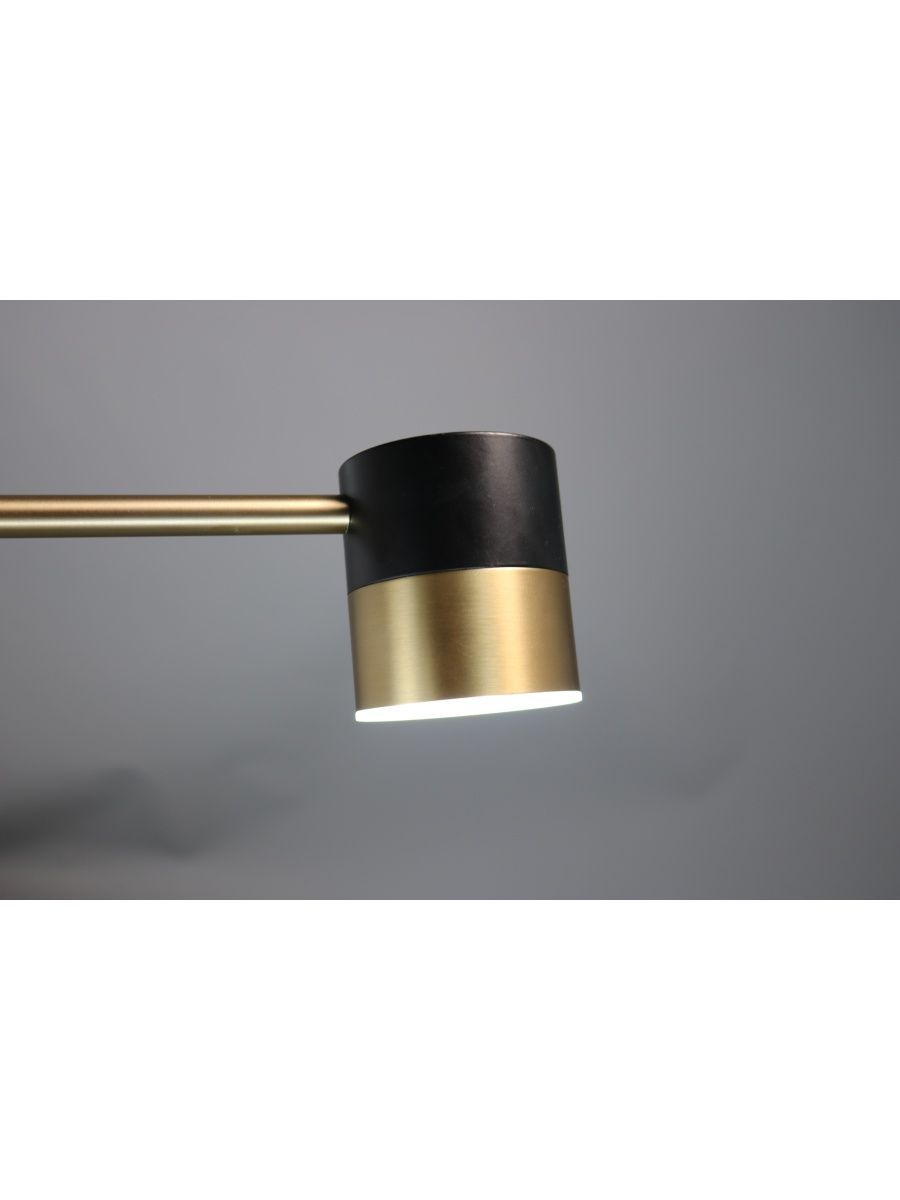 Люстра на штанге Zortes Lunar ZRS.1805.06