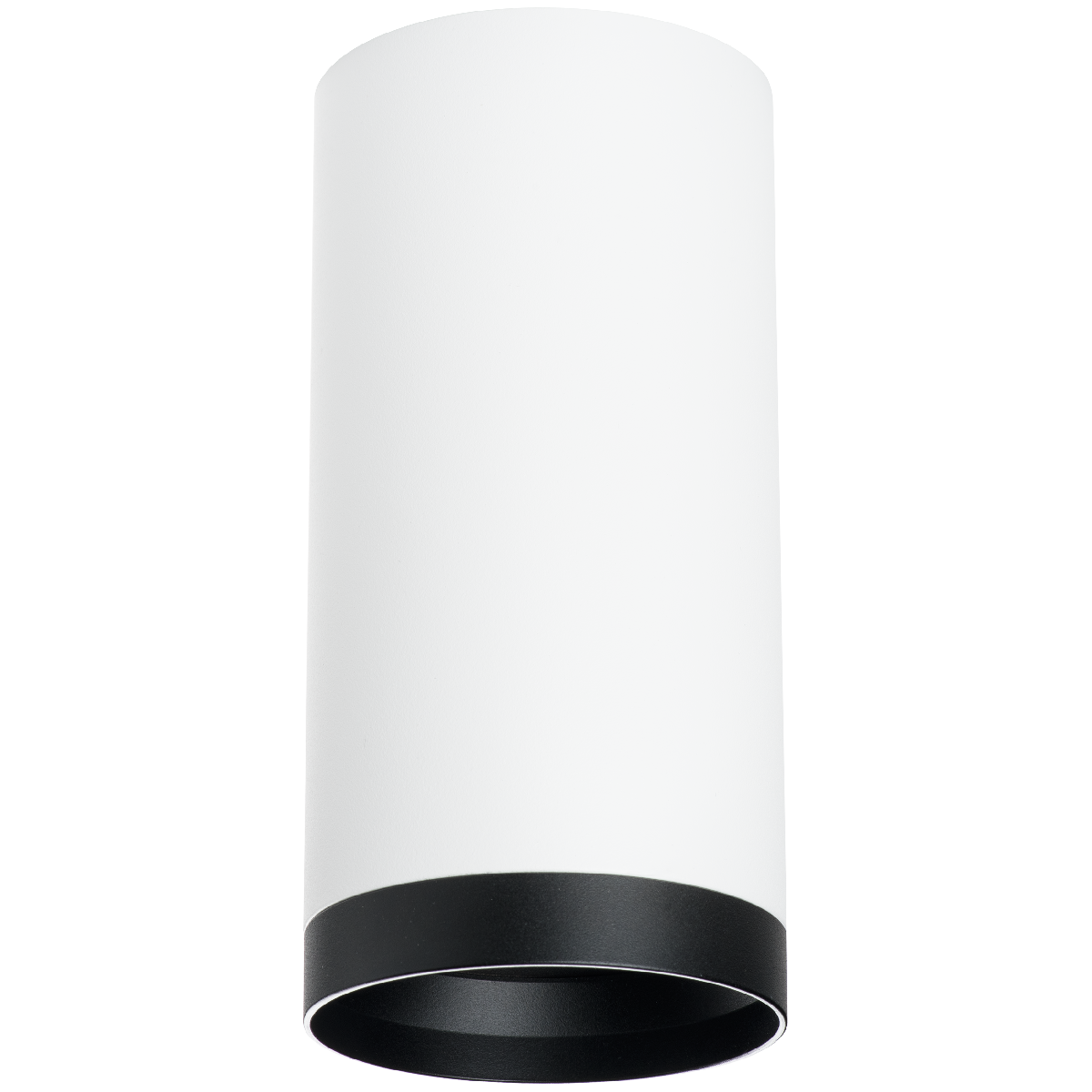 Накладной светильник Lightstar Rullo R64863487 (216486+203487)