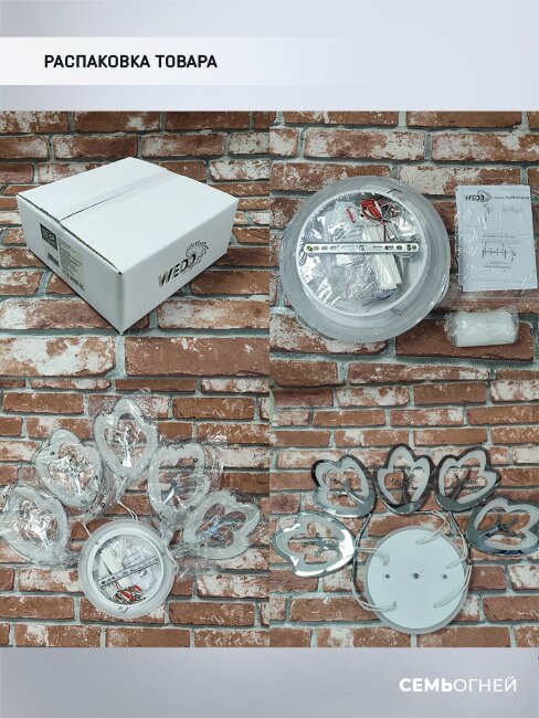 Потолочная люстра Wedo Light Dominica 75306.01.03.05RGB