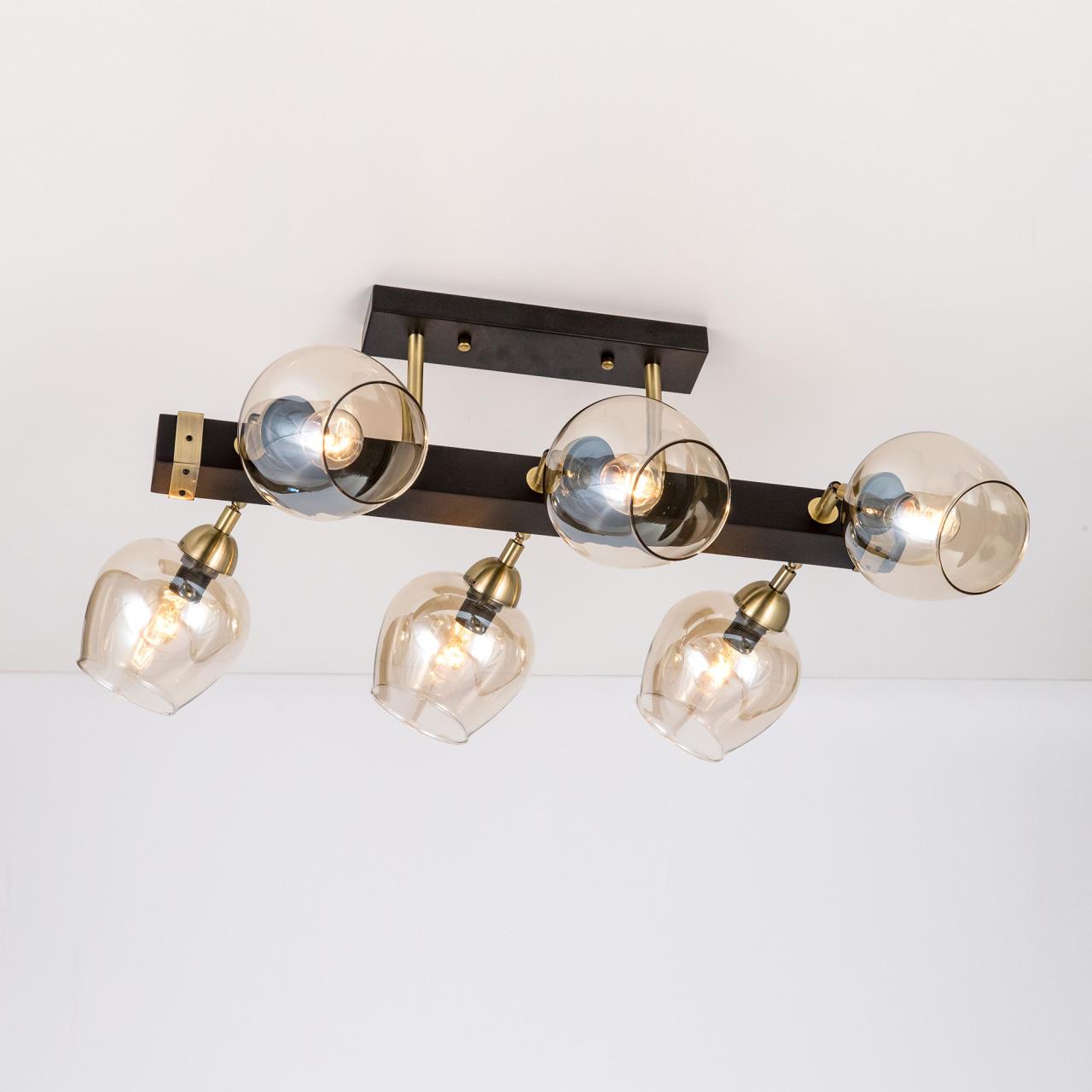 Люстра на штанге Citilux CL118165 в Москве