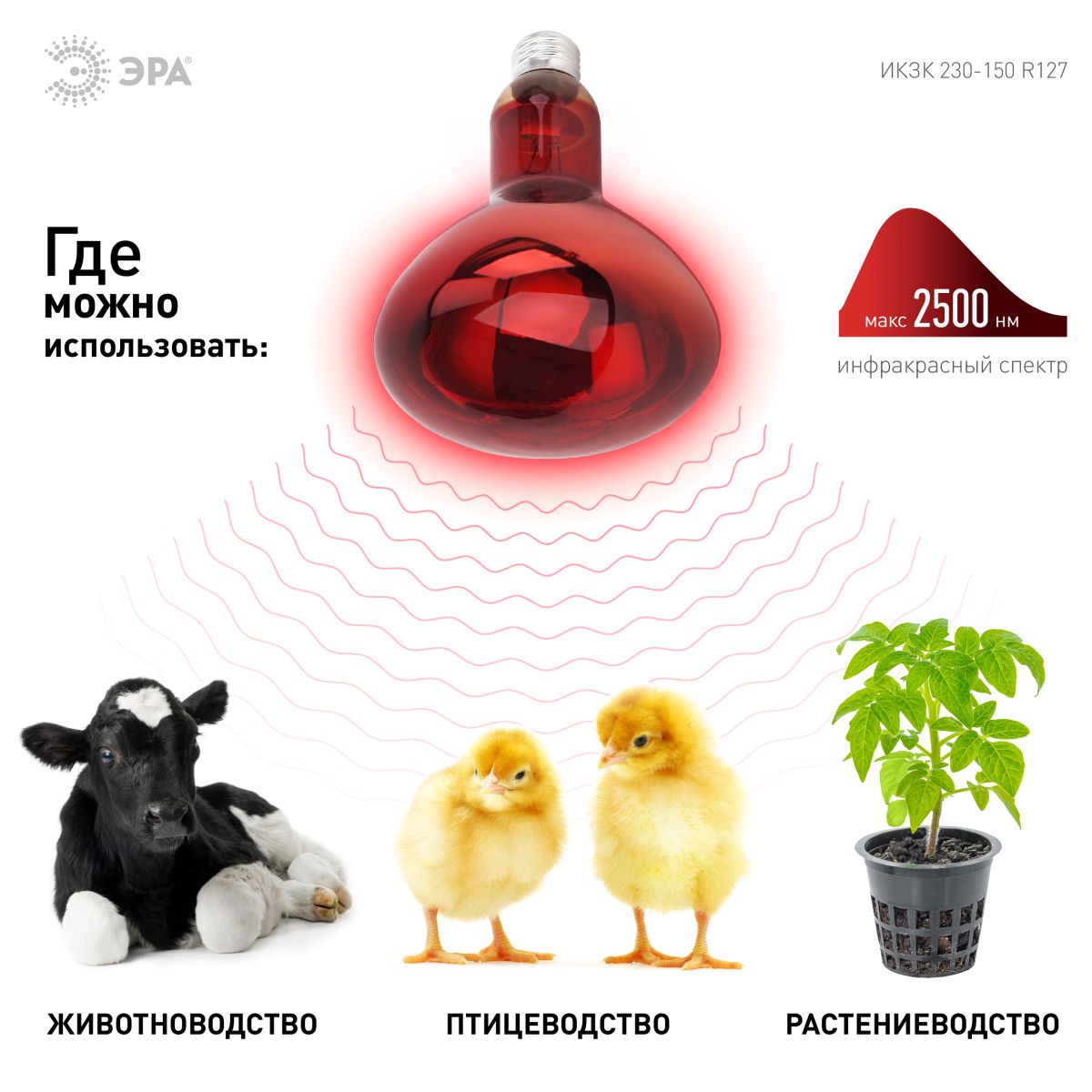 Инфракрасная лампа для обогрева животных Эра ИКЗК 230-150 R127 Б0042981