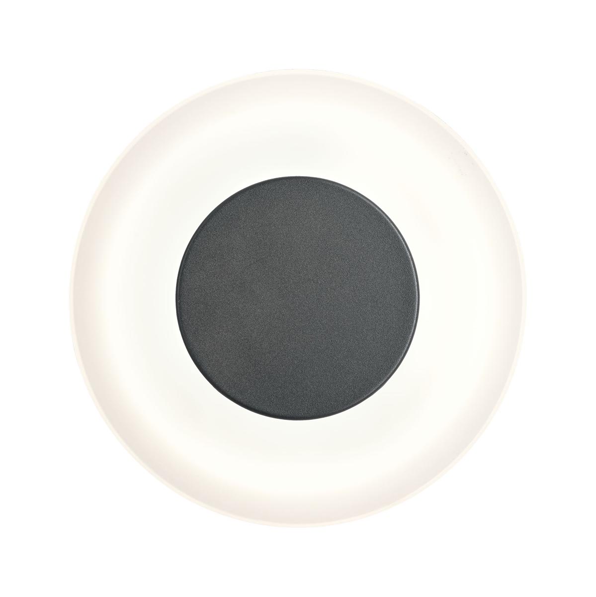 Уличный настенный светодиодный светильник Paulmann Wandl 94409