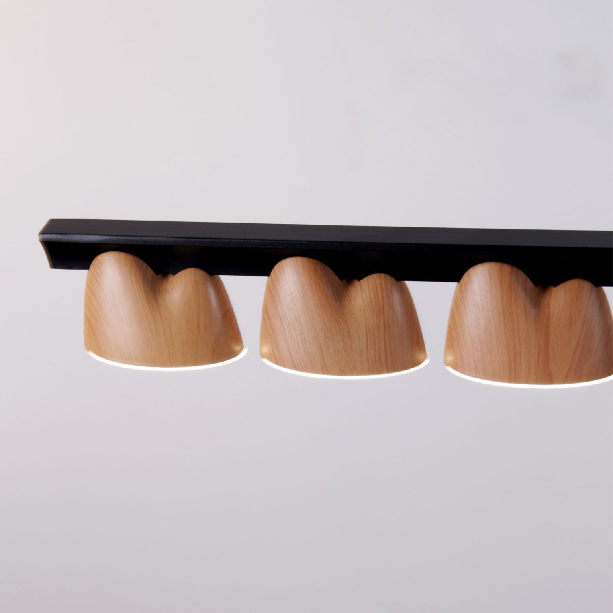 Подвесная люстра Favourite Interline 4266-10P