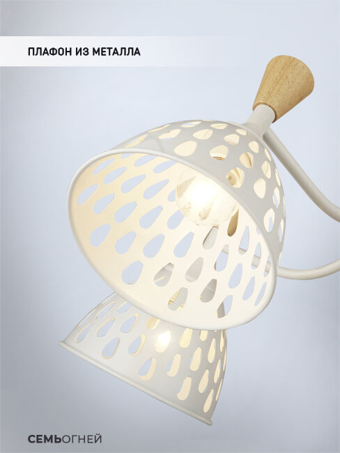 Потолочная люстра Wedo Light Gudi 66656.01.09.05