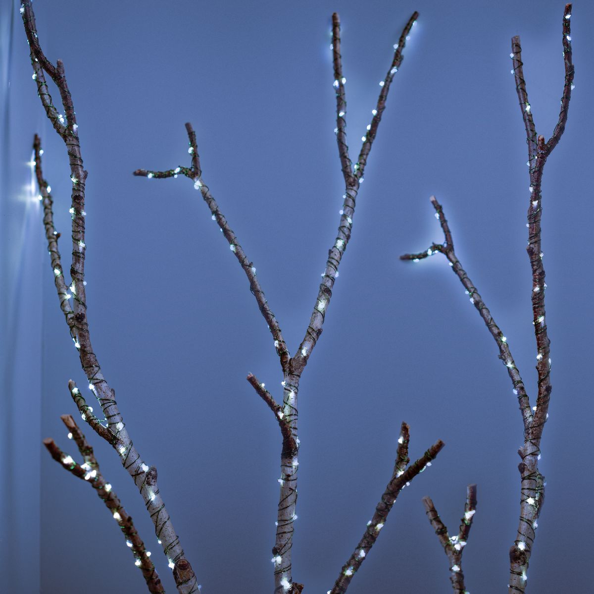 Светодиодная гирлянда Эра ENIN-2000W Б0060429