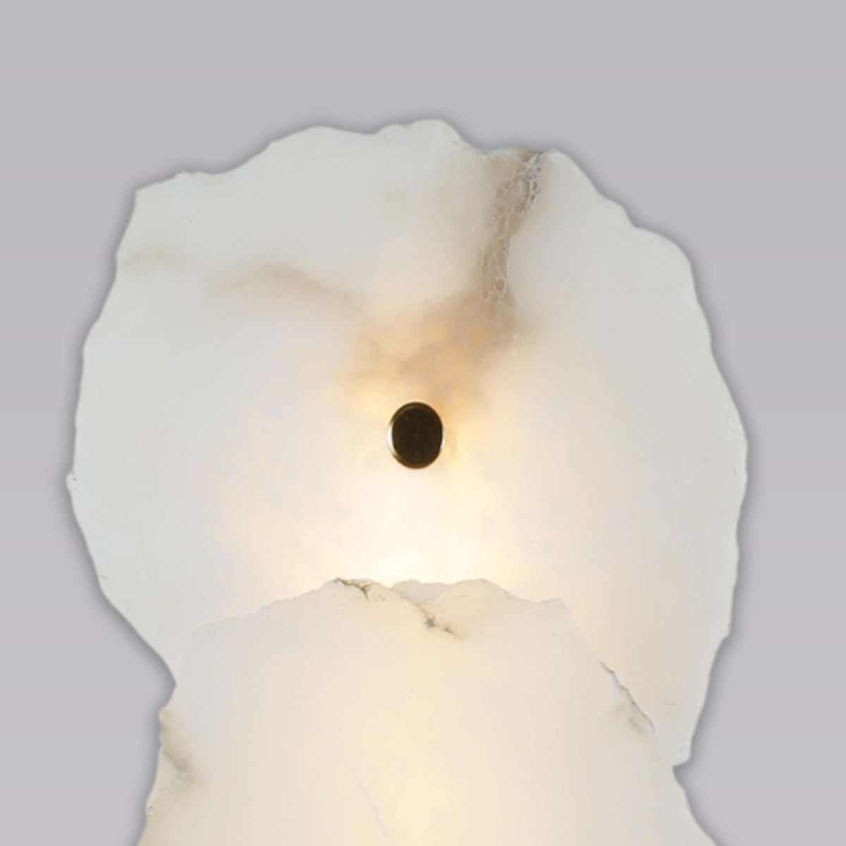 Настенный светильник Alfa Light F1024-19