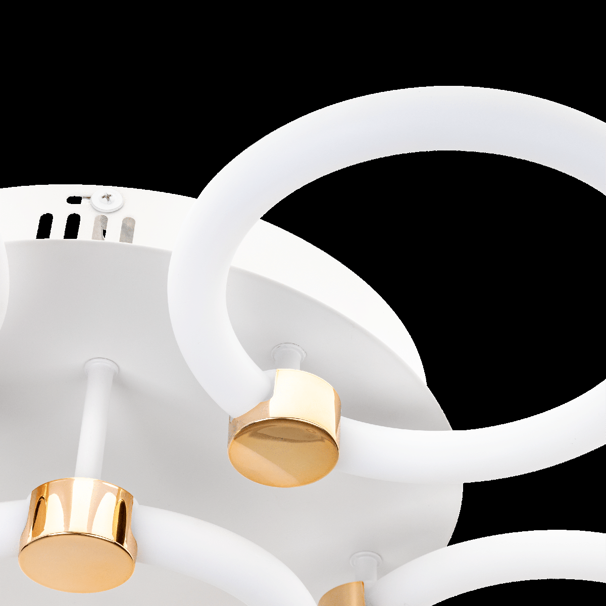 Потолочная люстра Ritter Anello 51639 6