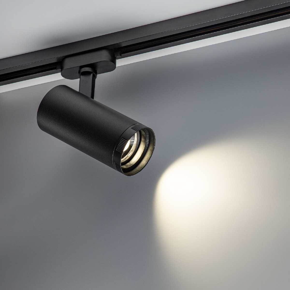 Трековый однофазный светильник Ritter Artline 59741 8