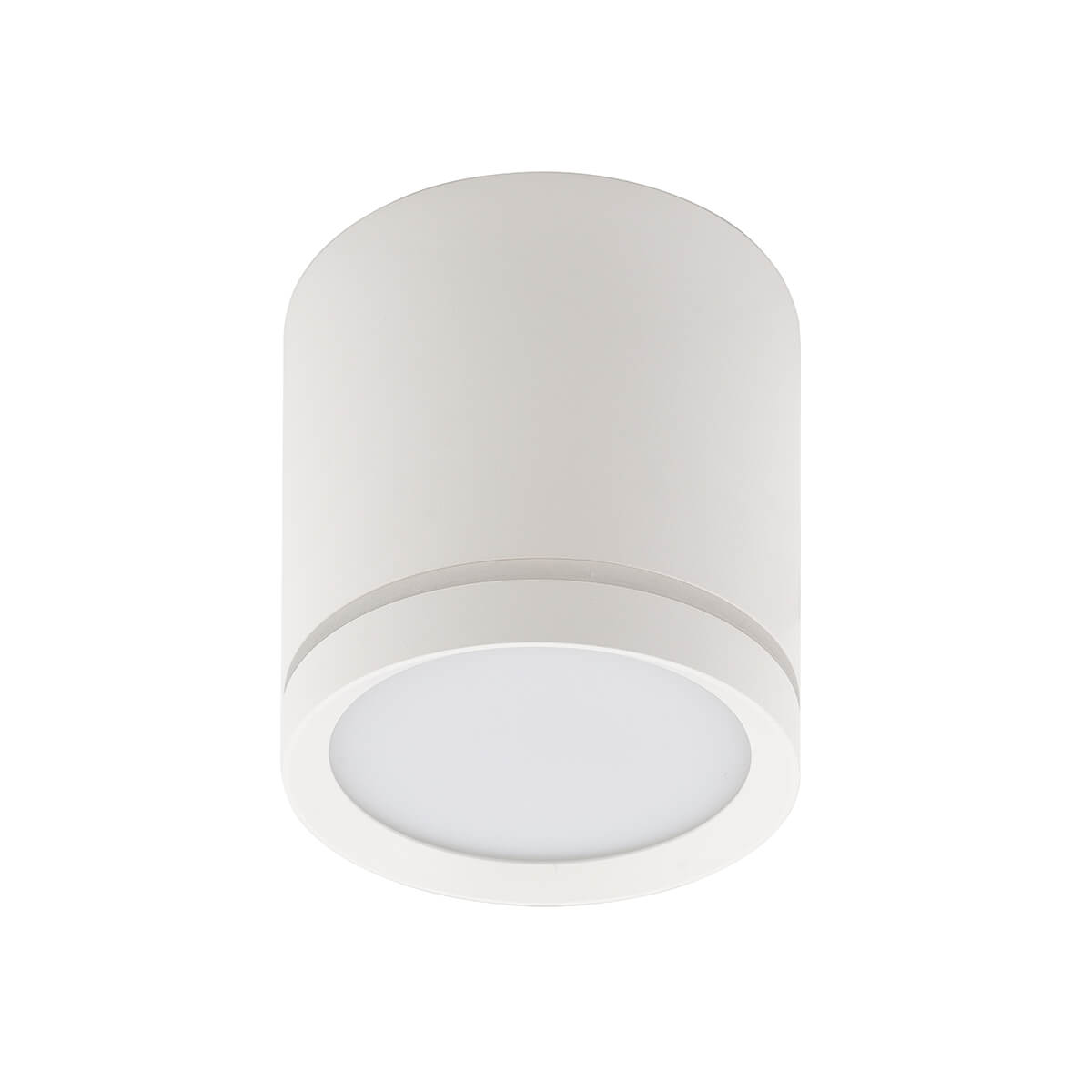 Накладной светильник Denkirs DK4016-WH