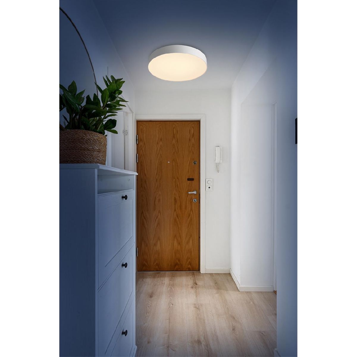 Настенно-потолочный светильник Sonex Basica Optima 7779/EL