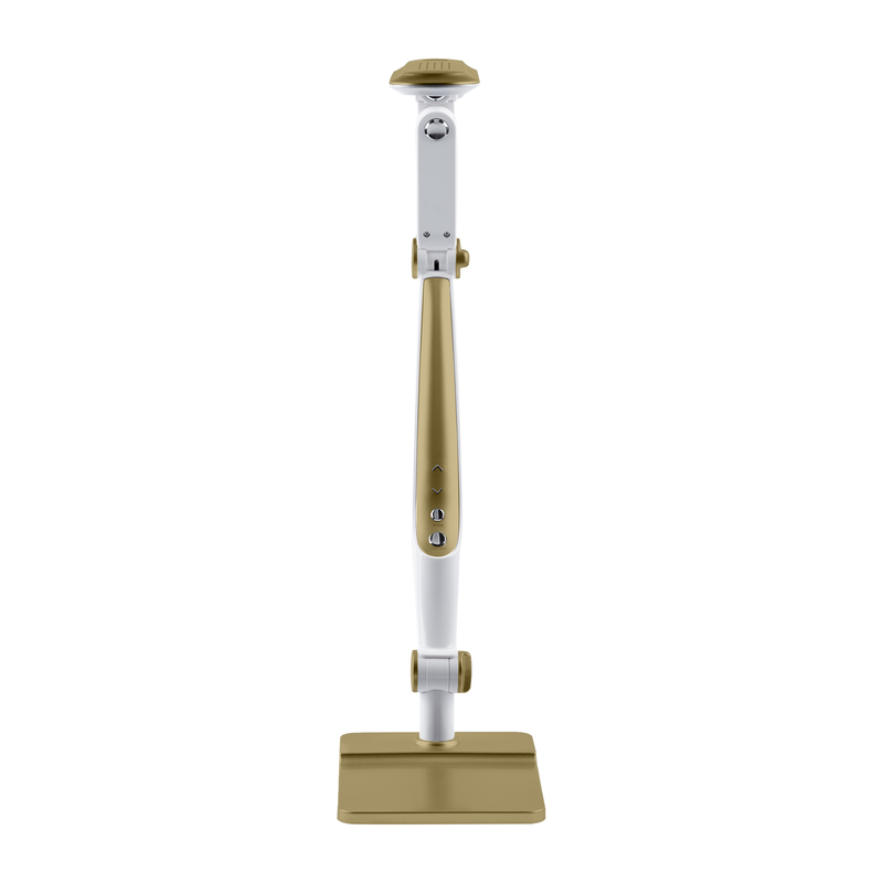 Настольная лампа Эра NLED-497-12W-G Б0052773