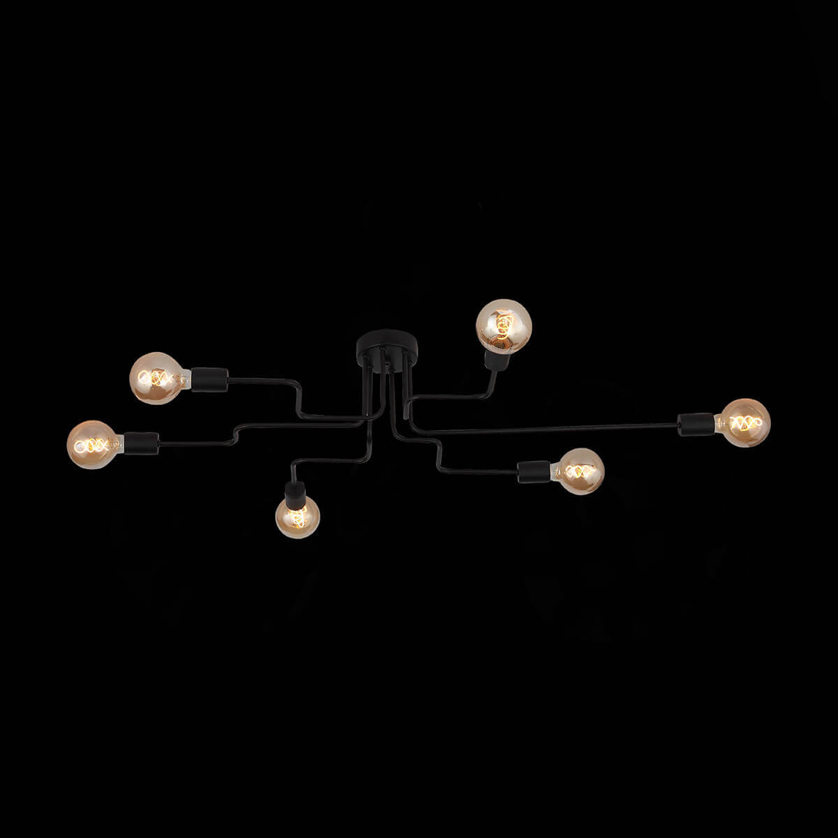 Потолочная люстра ST Luce Ano SL419.442.06