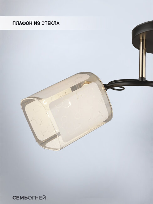 Потолочная люстра Wedo Light Sayn 66141.01.69.03