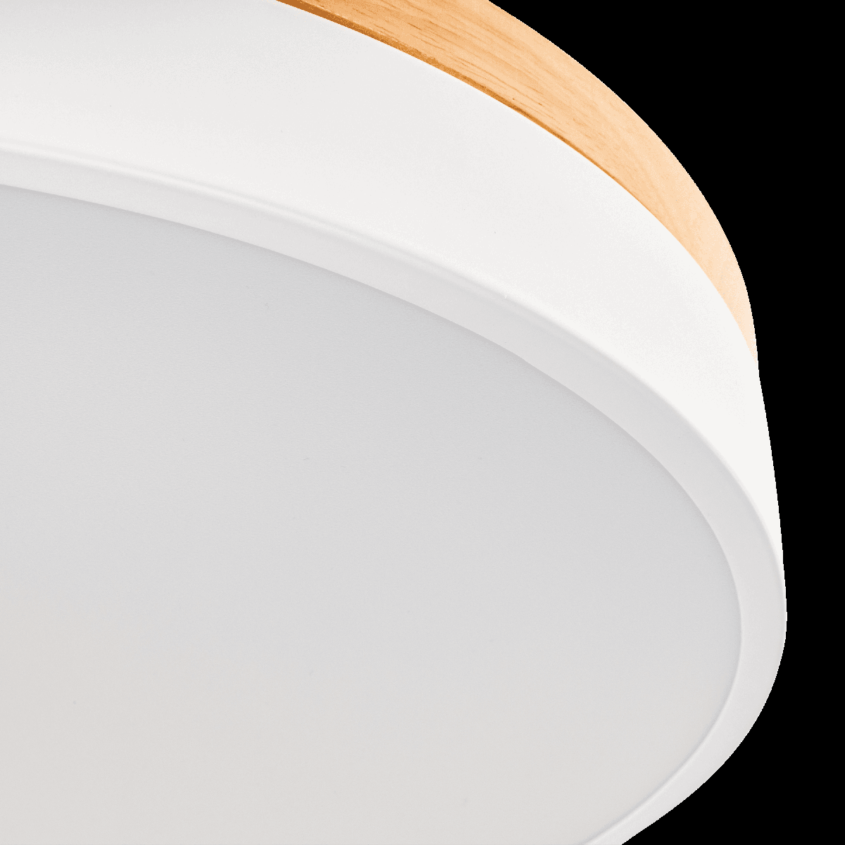 Потолочный светильник Ritter Snello 51623 5