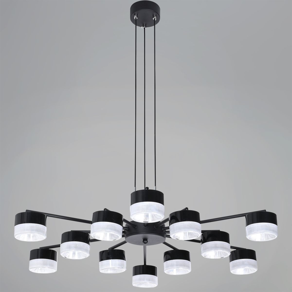 Потолочная люстра Reluce 19490-0.4-6+6 Black