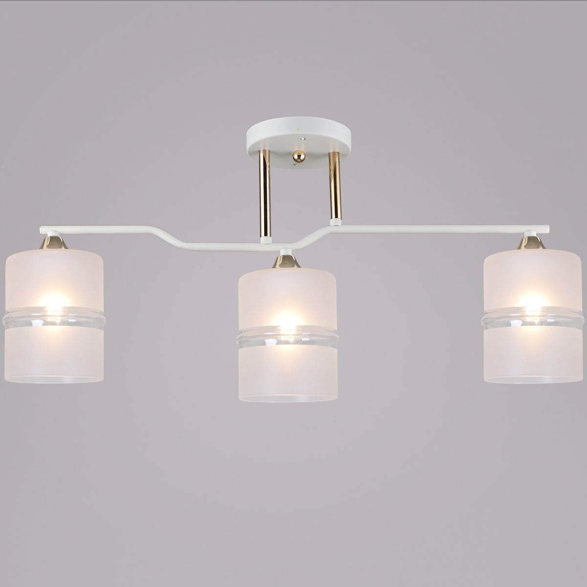 Потолочная люстра Reluce 02283-0.3-03 WT+FGD