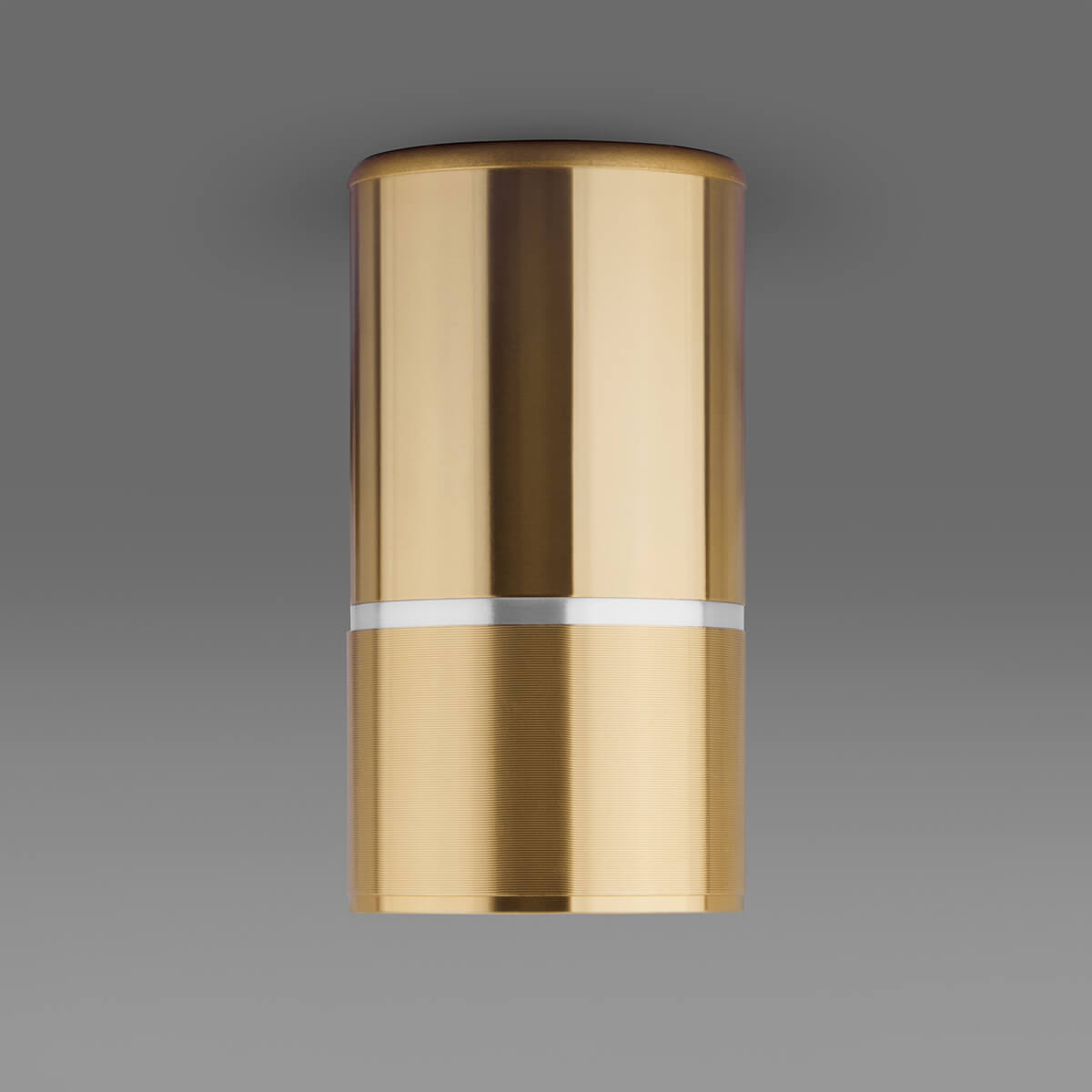 Потолочный светильник Elektrostandard DLN106 GU10 золото 4690389148613