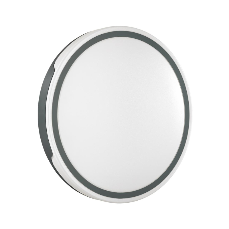 Настенно-потолочный светильник Sonex Avella 3051/DL