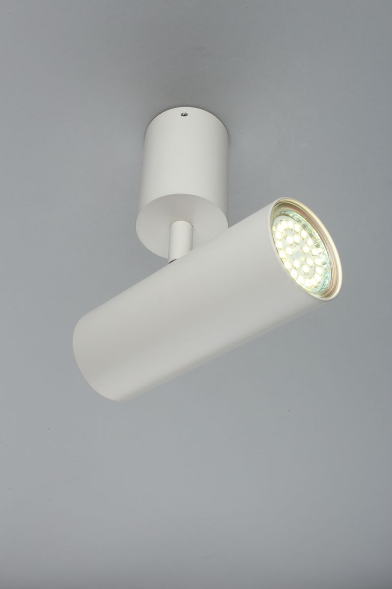 Настенно-потолочный светильник Aployt Berenis APL.007.02.01