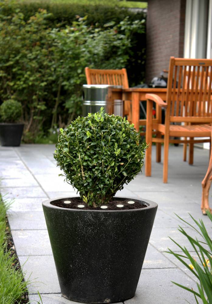 Ландшафтный светильник Eglo Spinetoli 2 900117