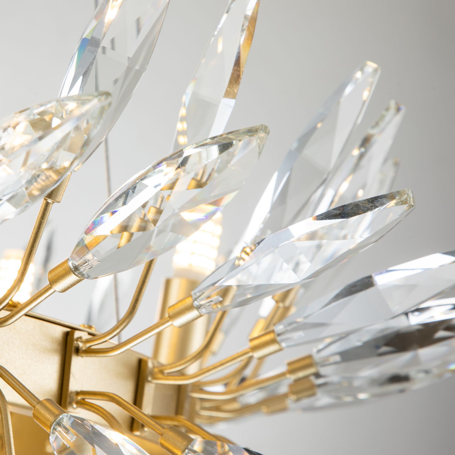 Подвесная люстра Favourite Rays 4058-14P в Москве