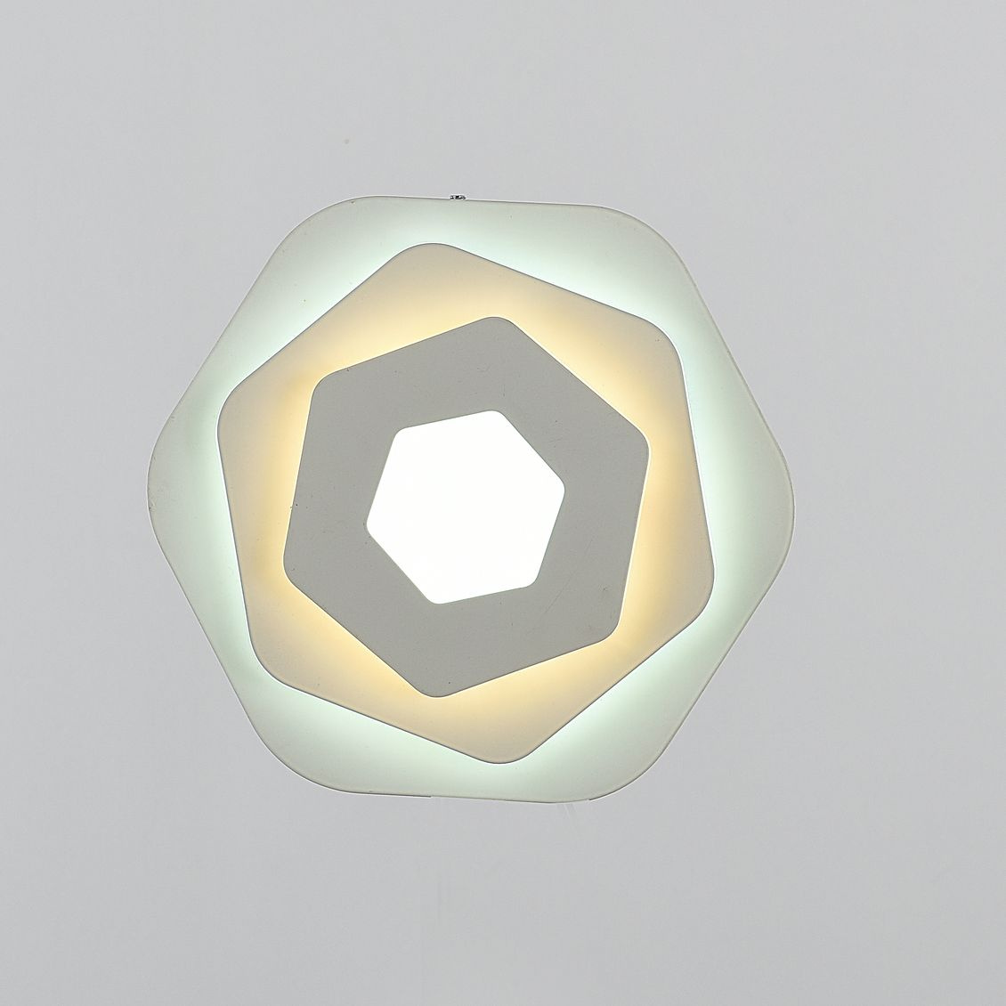 Настенный светодиодный светильник F-Promo Ledolution 2289-1W