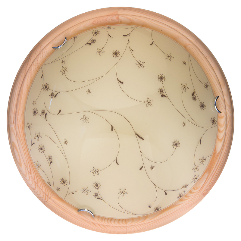 Настенно-потолочный светодиодный светильник Toplight Karissa TL9650Y-00PN