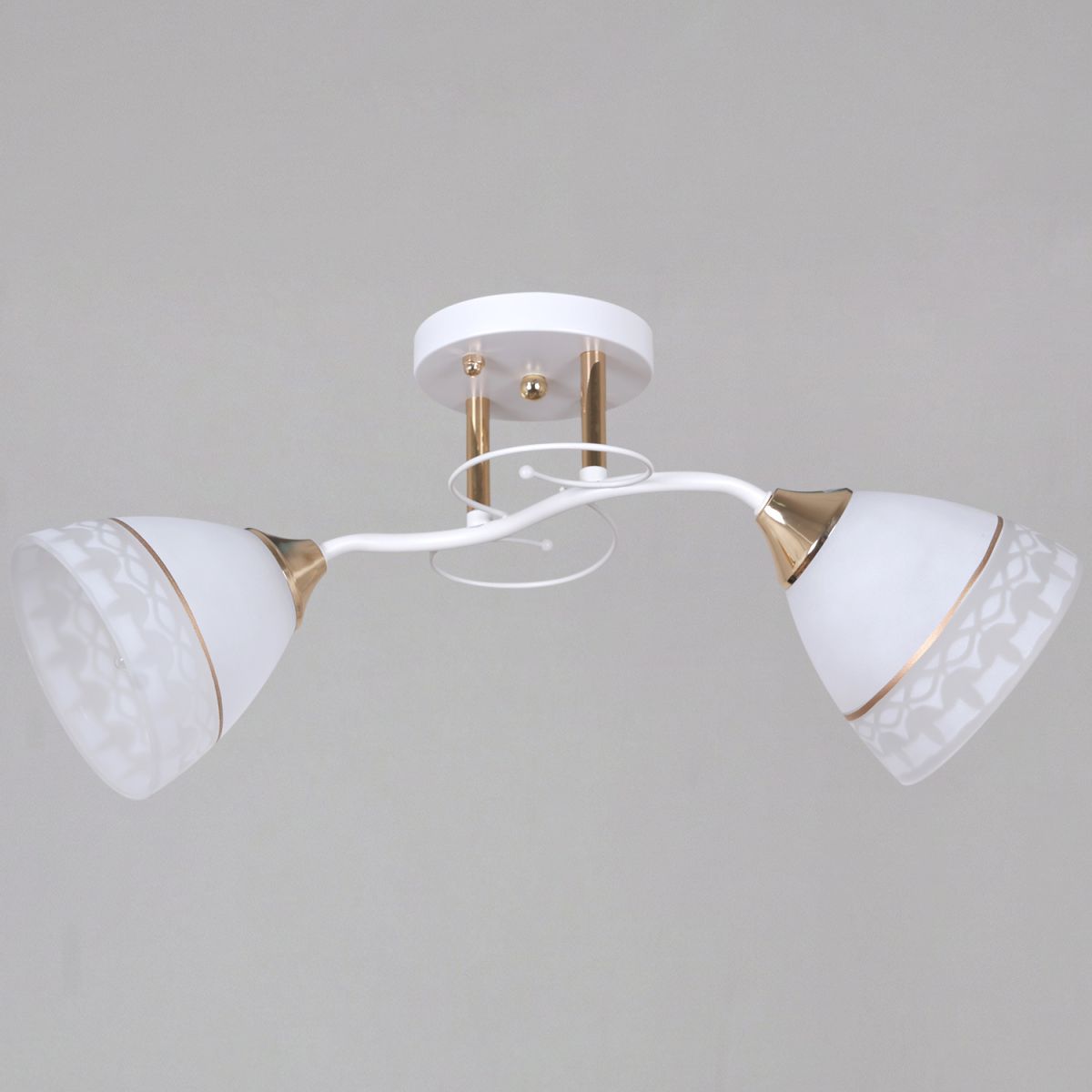 Потолочный светильник Reluce 11460-0.3-02 WH+FG