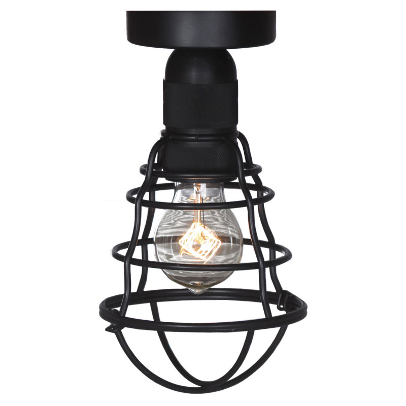 Накладной светильник Lussole Loft Baldwin LSP-9875c