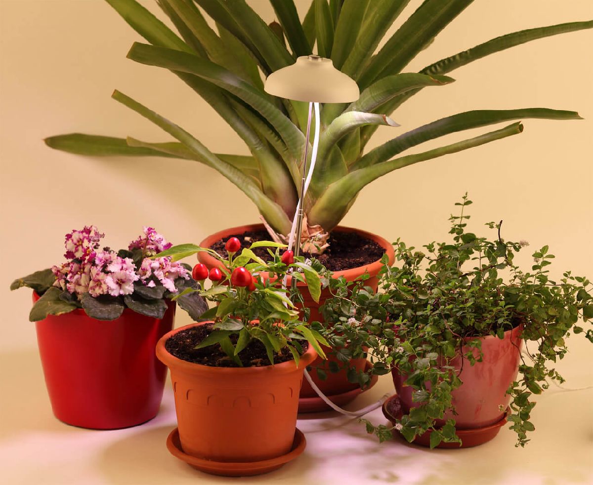 Светодиодный светильник для растений ЭРА FITO-12W-FLED Б0039068 УЦ