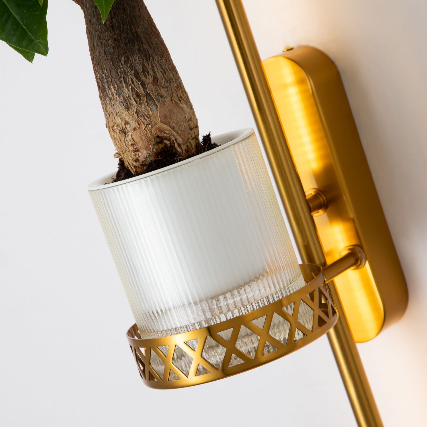 Настенный светильник Favourite Greenery 4050-2W